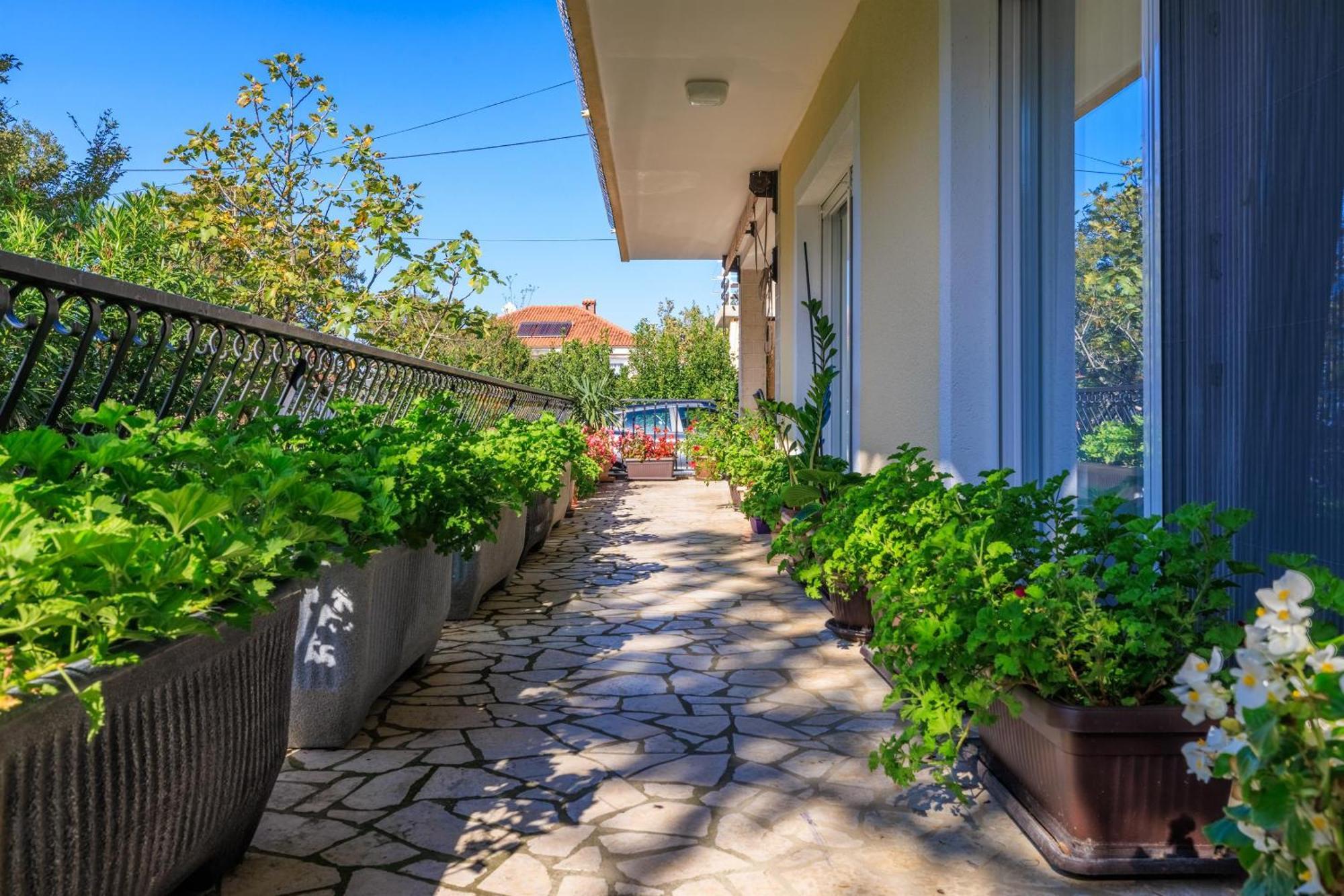 Apartments Pinty Jadranovo Zewnętrze zdjęcie